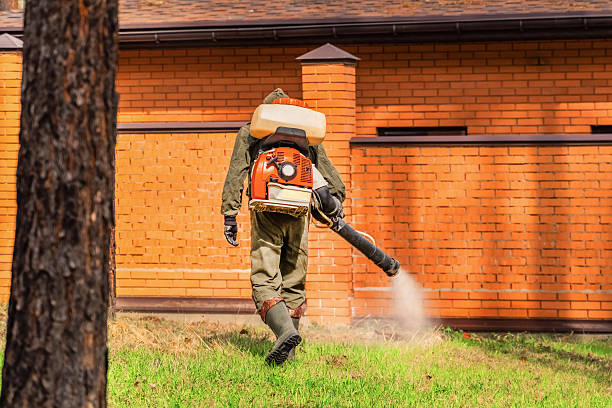 Trusted Rodent Control service in Kailua, HI - Nex Pest Control
